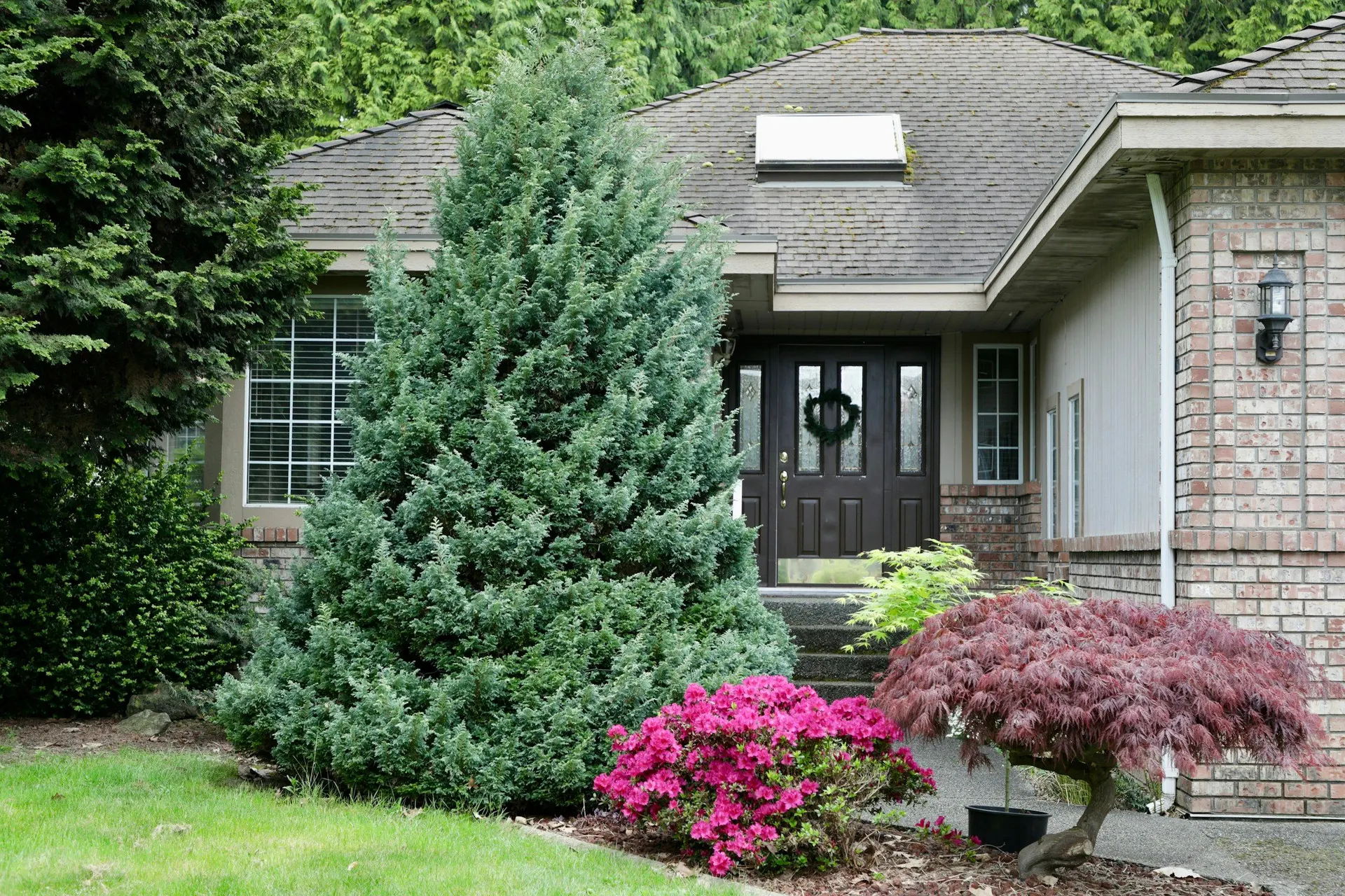 A suburban house with a manicured garden entrance