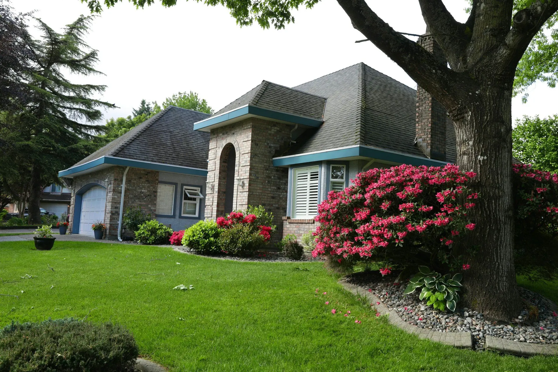 A house with a green lawn and red flowering bushes