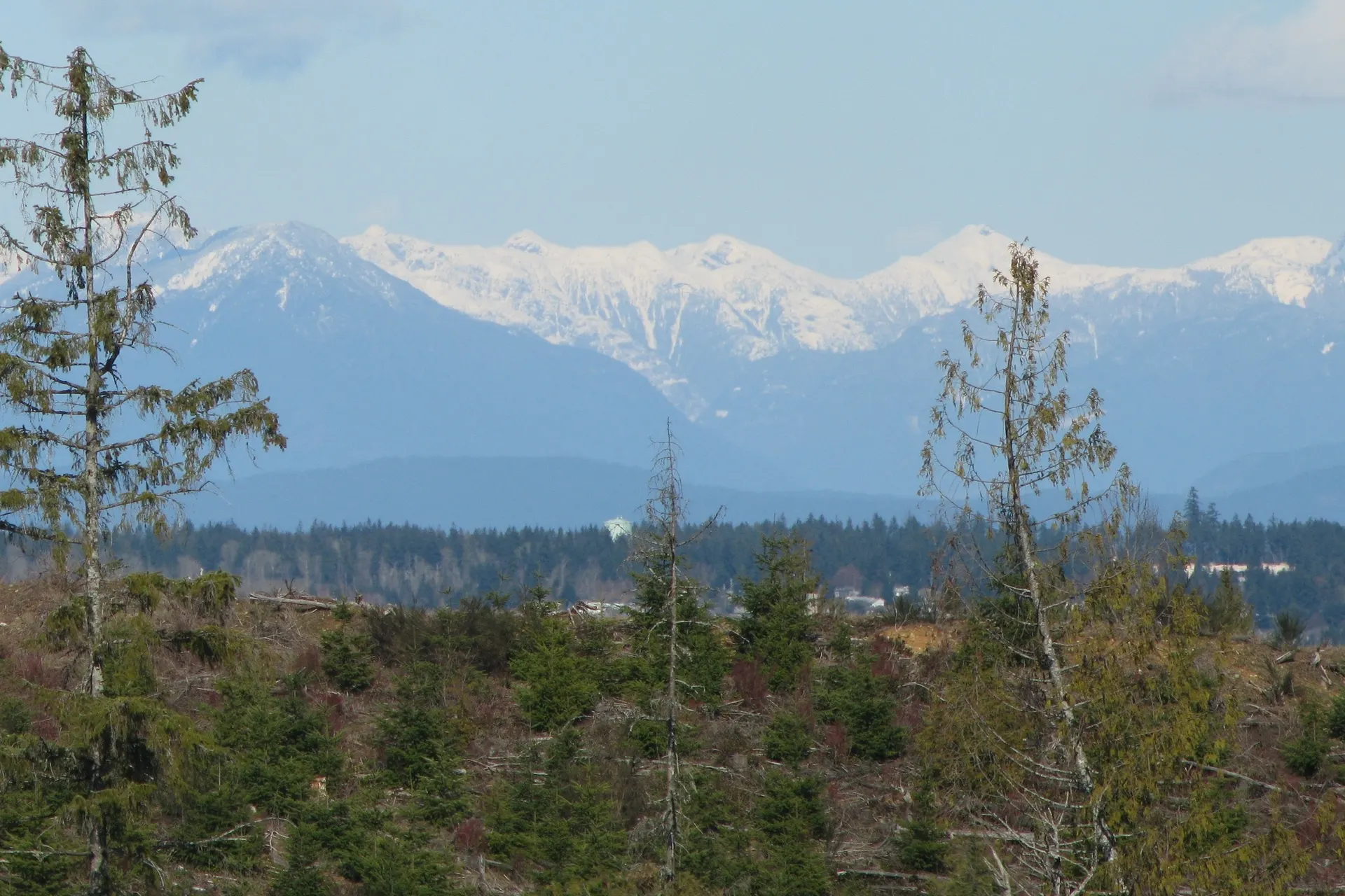 The Coast Mountains across the Strait of Georgia, seen from Courtenay