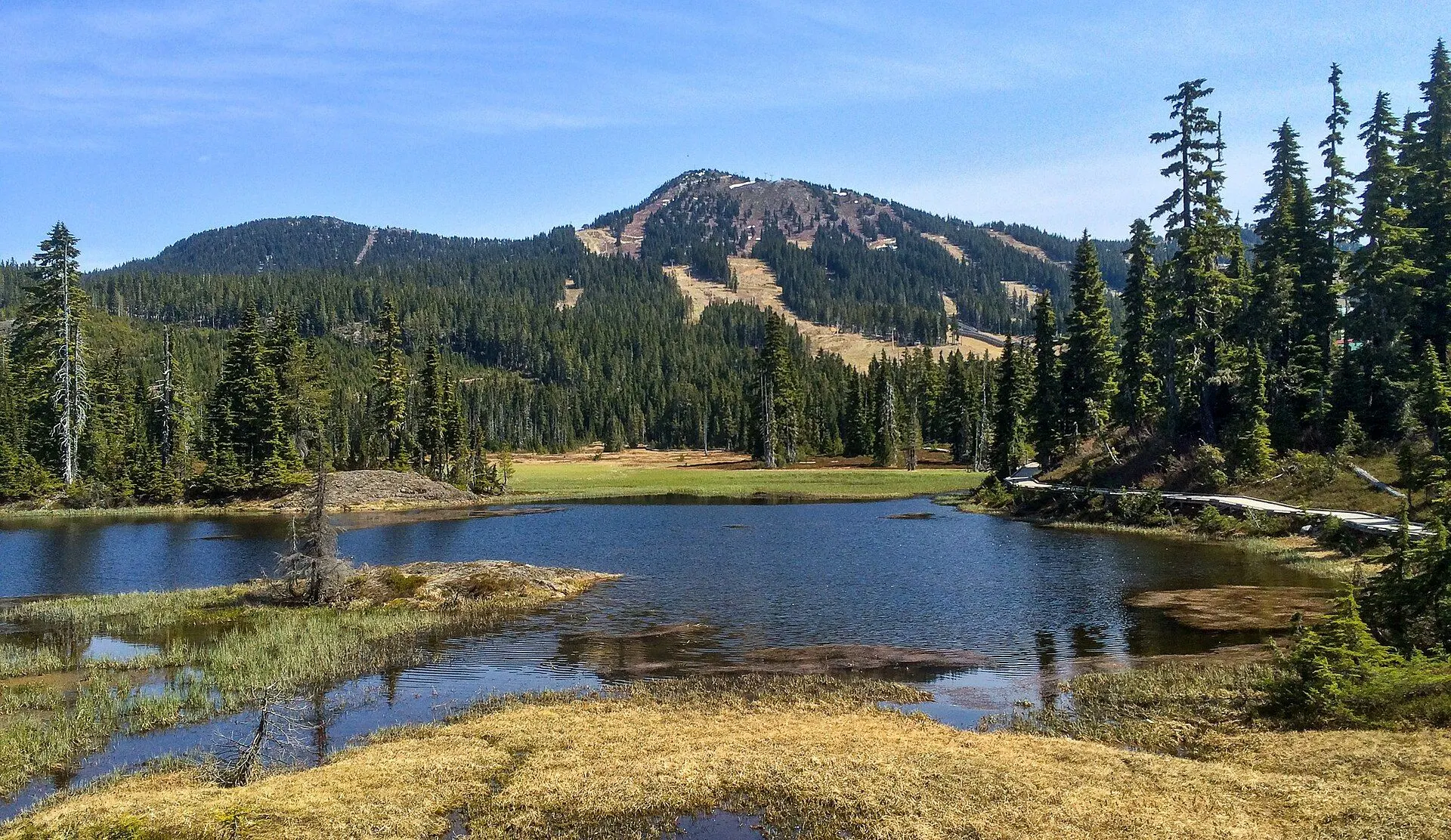 Mount Washington above the ponds of Paradise Meadows