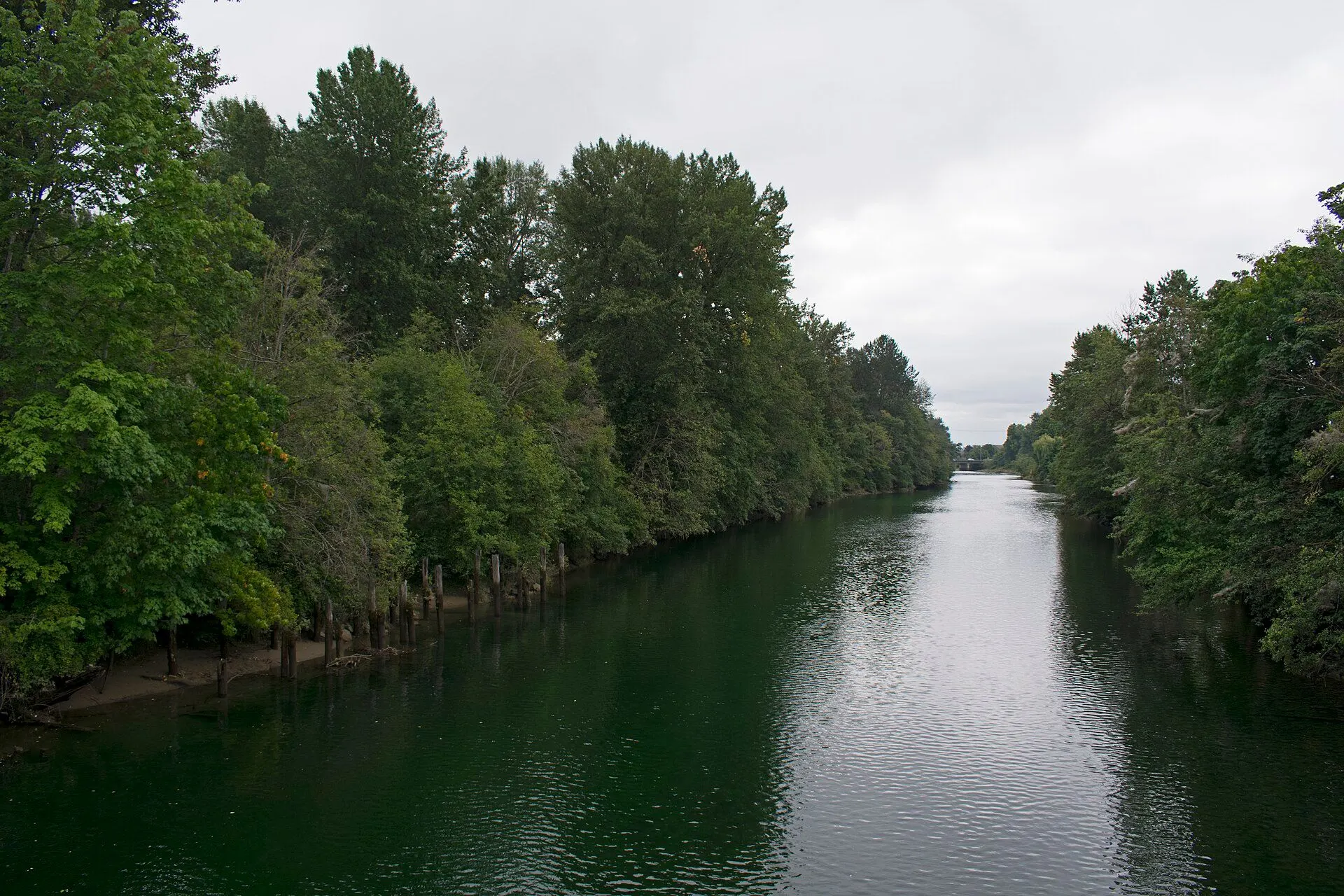 The Courtenay River looking downstream from the Fifth Street bridge